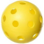 Wiffle Ball - a hollow ball with airholes for throwing and other activities